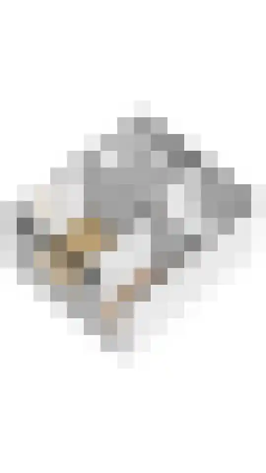 Anemoonlaan 19 De Kwakel thumbnail 29