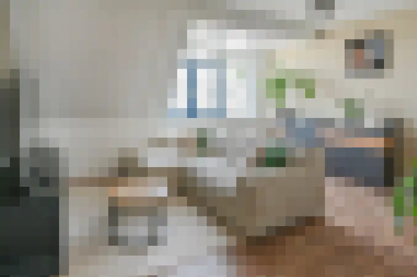 Anemoonlaan 19 De Kwakel foto 3