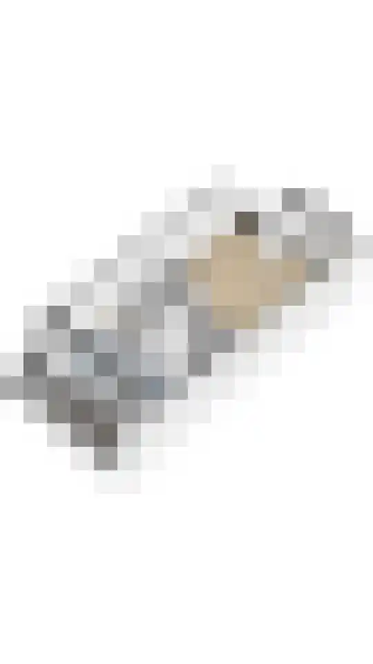 Anemoonlaan 19 De Kwakel thumbnail 31