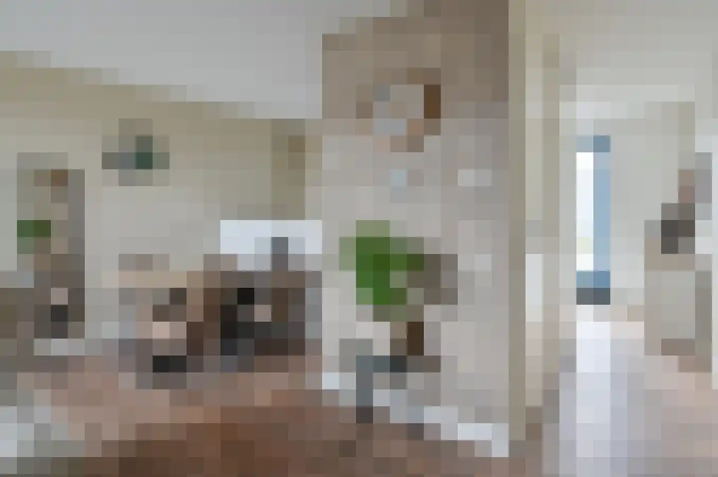 Anemoonlaan 19 De Kwakel thumbnail 7