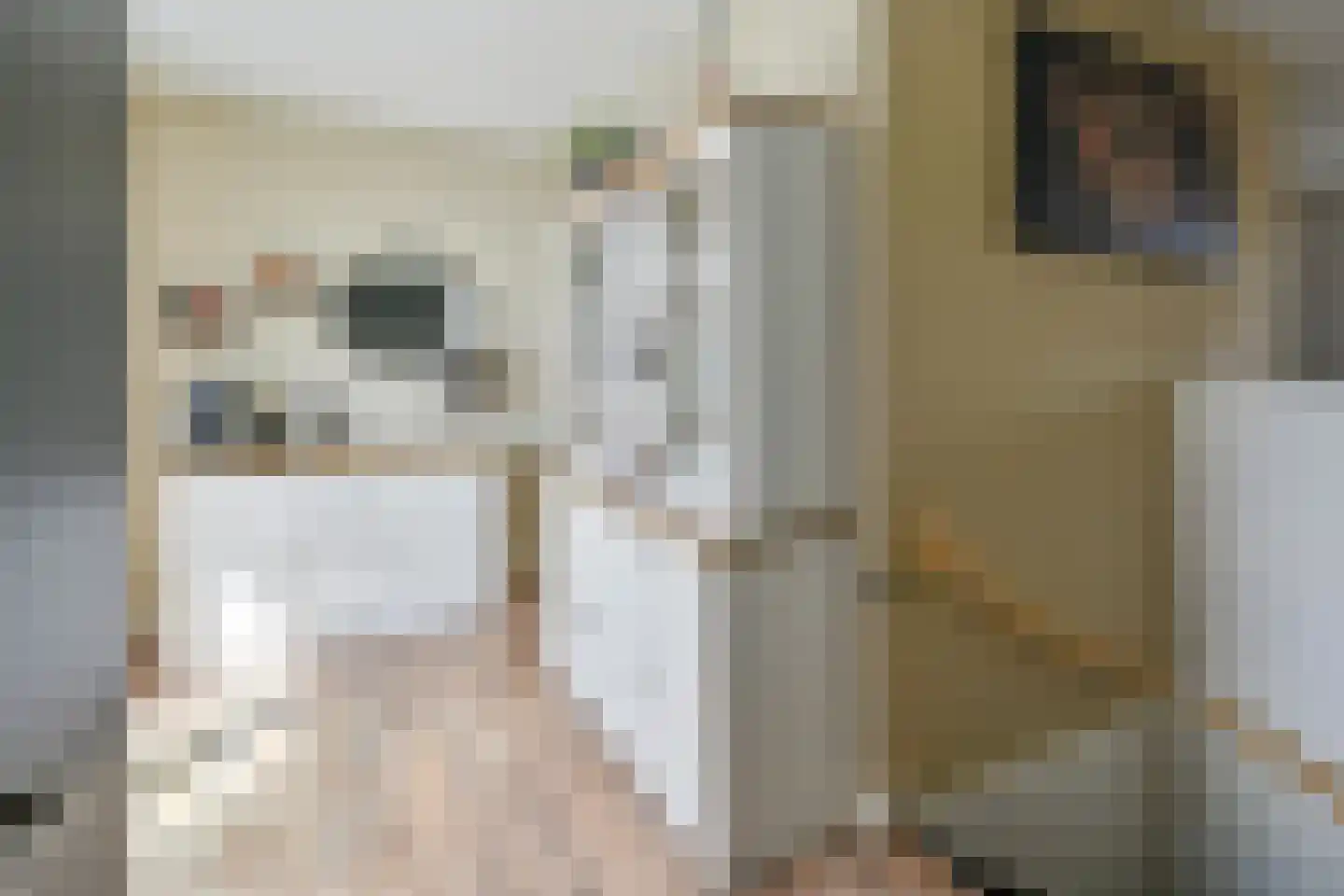 Anemoonlaan 19 De Kwakel thumbnail 8