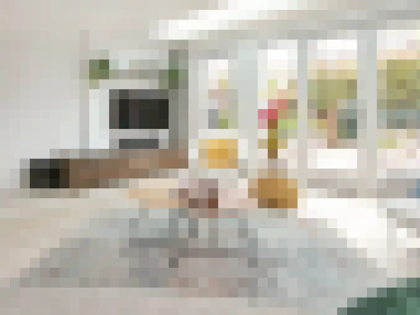 Anemoonlaan 24 Badhoevedorp thumbnail 27