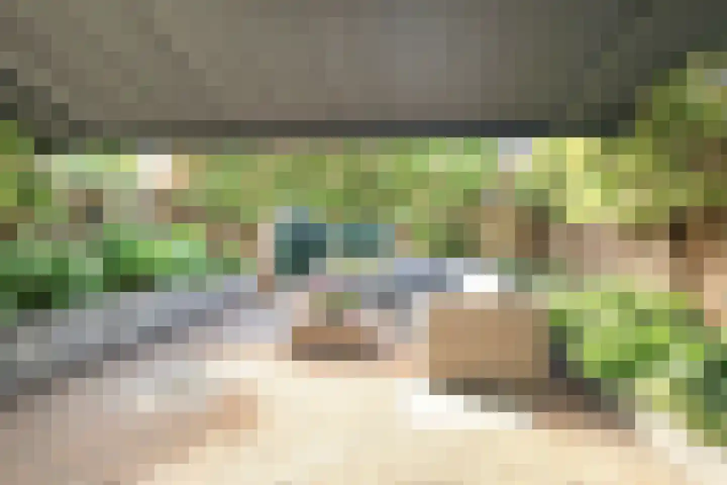 Anemoonlaan 24 Badhoevedorp thumbnail 33