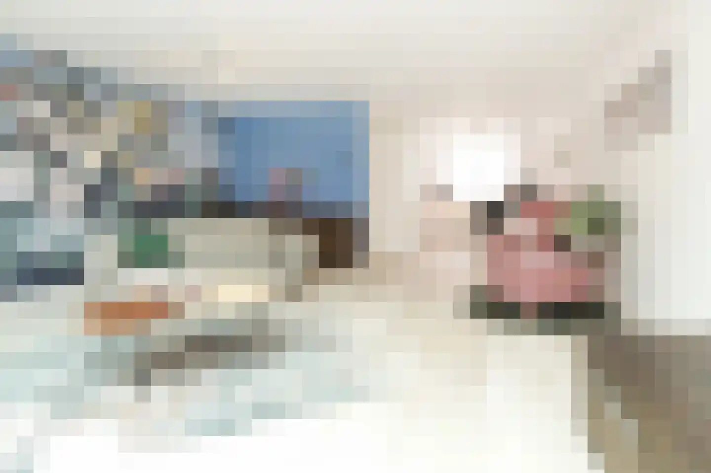 Anemoonlaan 24 Badhoevedorp thumbnail 4