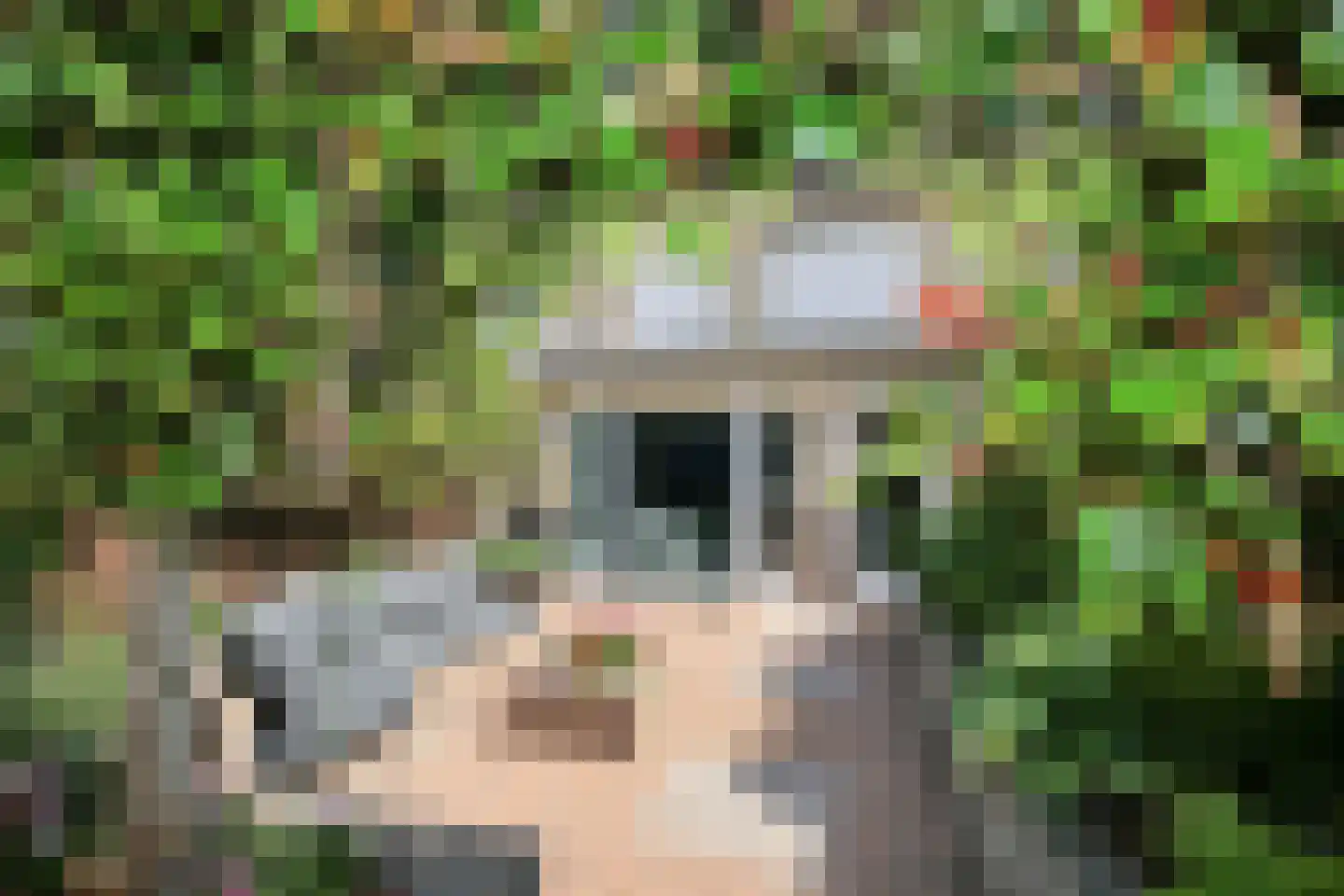 Anemoonlaan 24 Badhoevedorp thumbnail 41