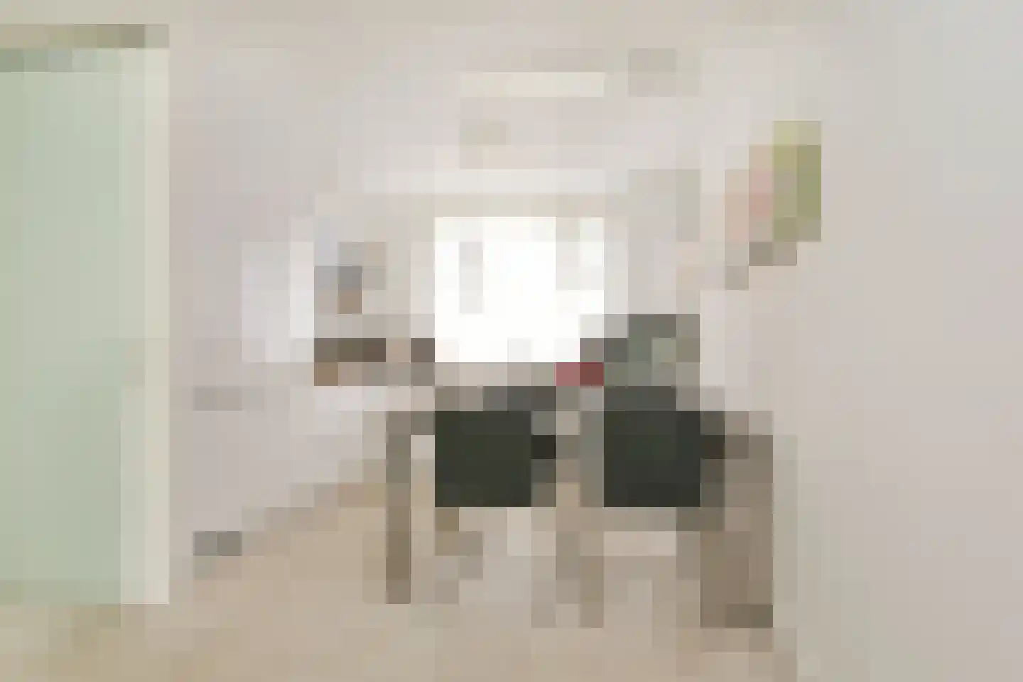 Anemoonlaan 24 Badhoevedorp thumbnail 5