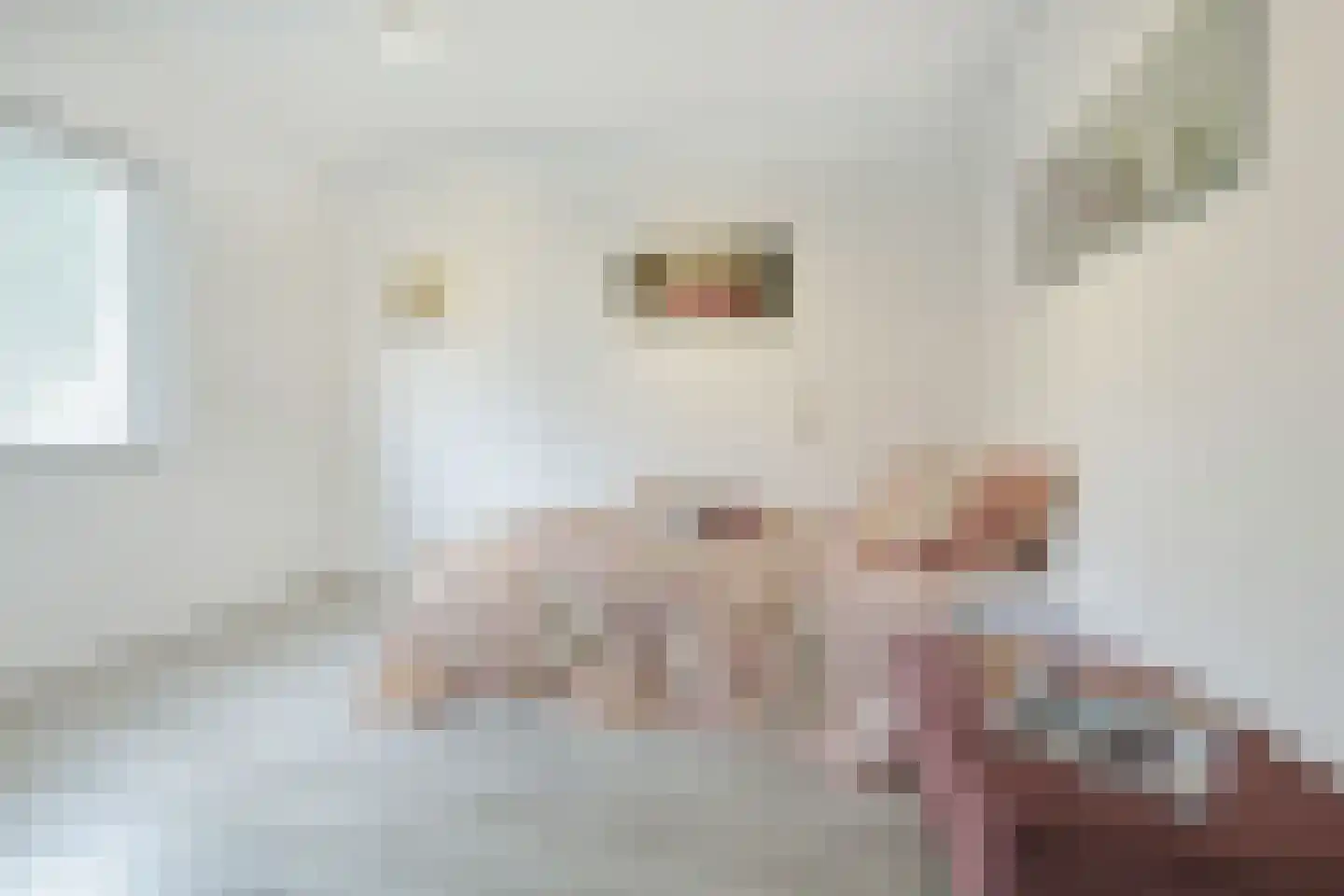 Anemoonlaan 24 Badhoevedorp thumbnail 7