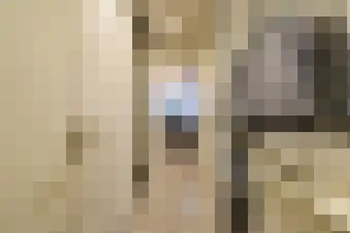 Anemoonlaan 26 Badhoevedorp thumbnail 4