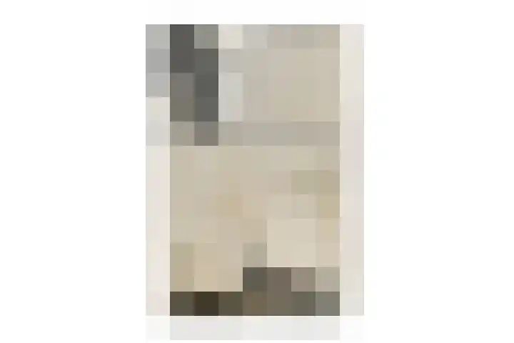 Anemoonlaan 26 Badhoevedorp thumbnail 6