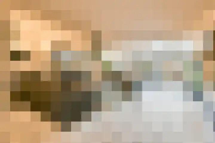 Anemoonlaan 26 Badhoevedorp thumbnail 7