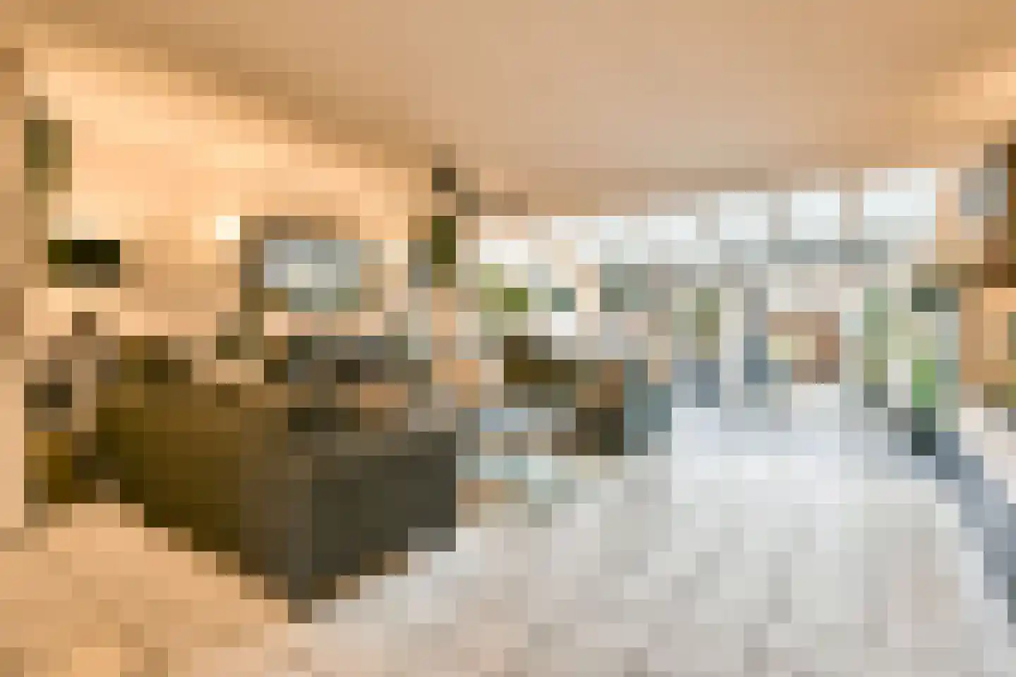 Anemoonlaan 26 Badhoevedorp thumbnail 8