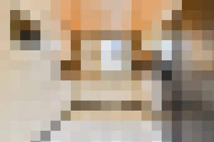 Anemoonlaan 26 Badhoevedorp thumbnail 8