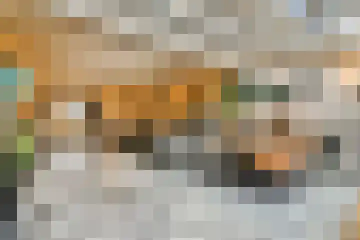 Anemoonlaan 26 Badhoevedorp thumbnail 9