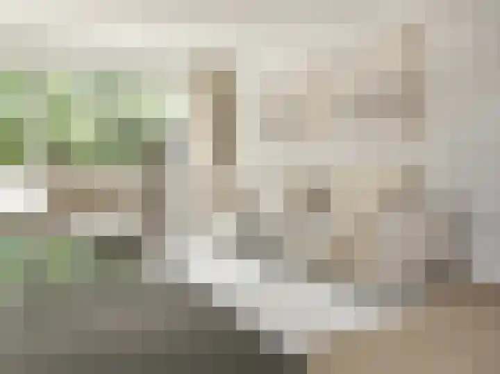 Anemoonlaan 29 Badhoevedorp thumbnail 36
