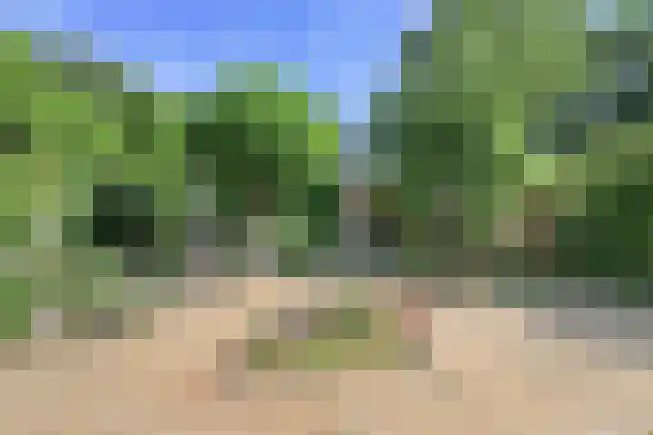 Anemoonlaan 29 Badhoevedorp thumbnail 43