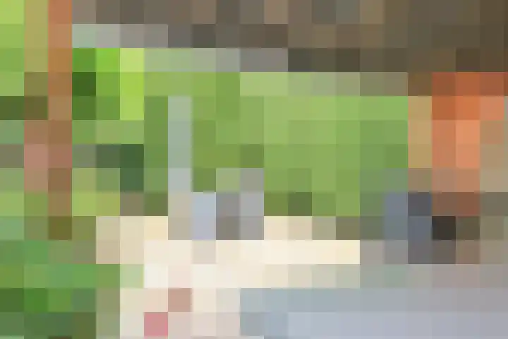 Anemoonlaan 29 Badhoevedorp thumbnail 50