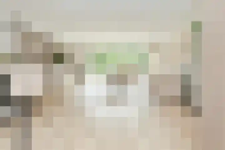 Anemoonlaan 29 Badhoevedorp thumbnail 6