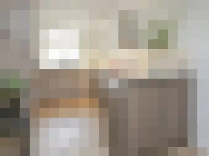Anemoonlaan 29 Badhoevedorp thumbnail 8