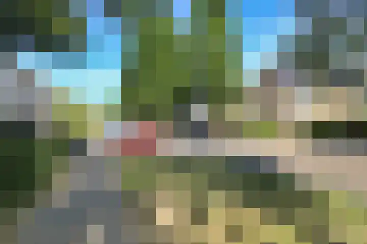 Anemoonlaan 29 Badhoevedorp thumbnail 83