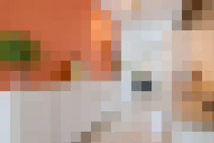 Anemoonlaan 29 De Kwakel thumbnail 10