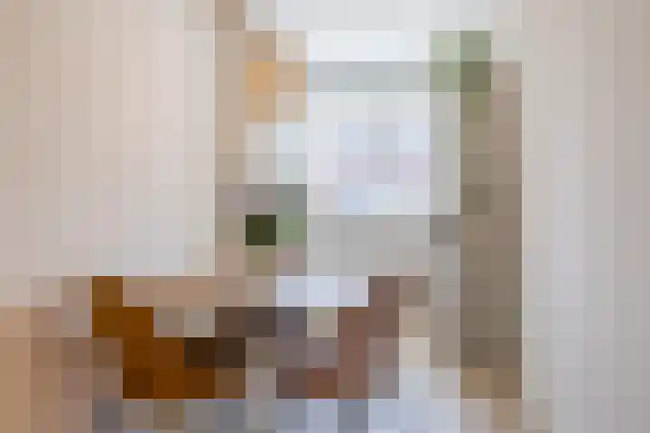 Anemoonlaan 29 De Kwakel thumbnail 11