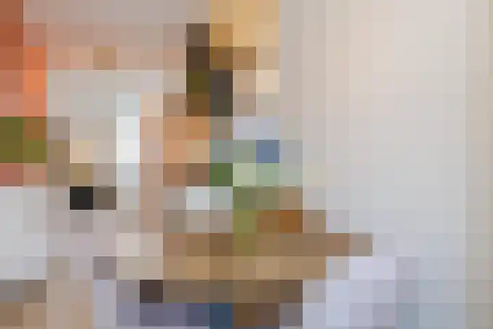 Anemoonlaan 29 De Kwakel thumbnail 12