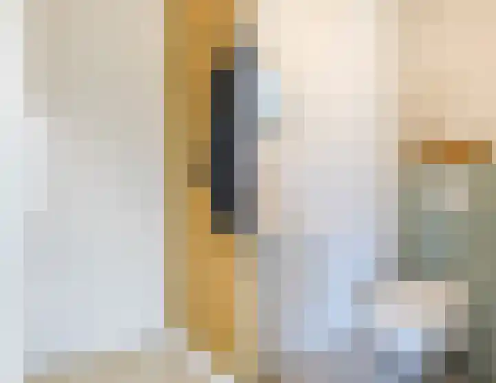 Anemoonlaan 29 De Kwakel thumbnail 13