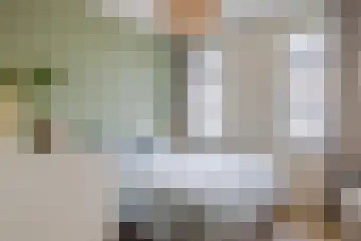 Anemoonlaan 29 De Kwakel thumbnail 14