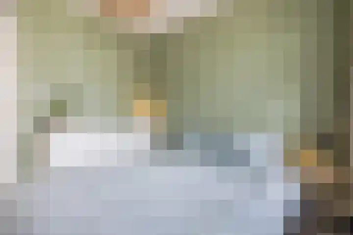 Anemoonlaan 29 De Kwakel thumbnail 15