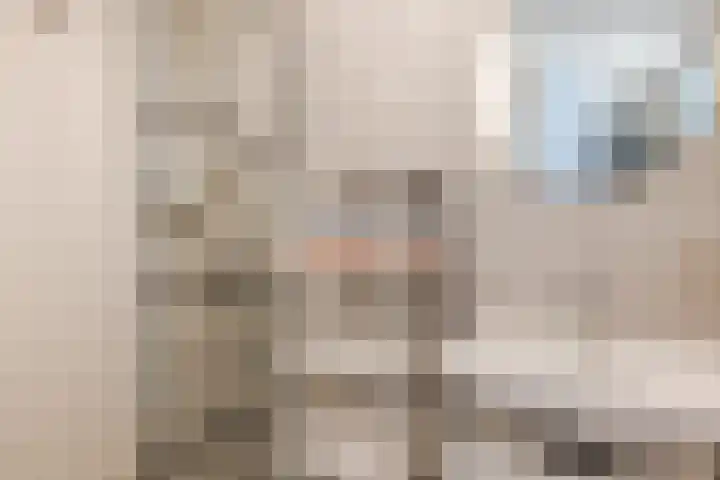 Anemoonlaan 29 De Kwakel thumbnail 18