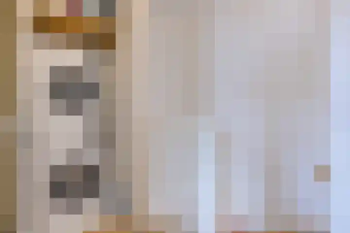 Anemoonlaan 29 De Kwakel thumbnail 20