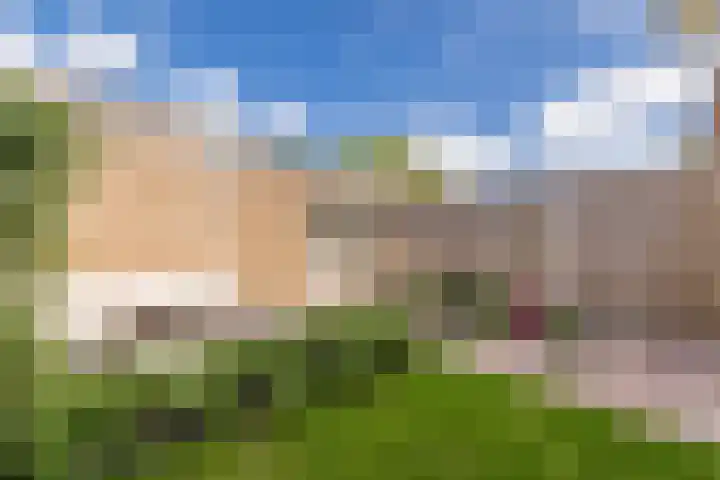Anemoonlaan 29 De Kwakel thumbnail 22