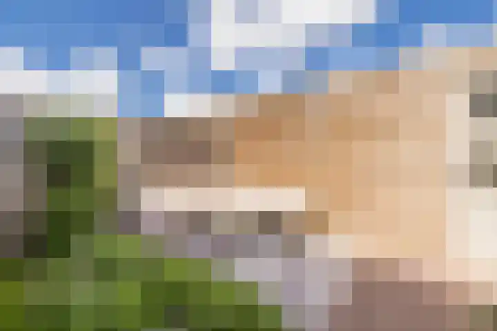 Anemoonlaan 29 De Kwakel thumbnail 23