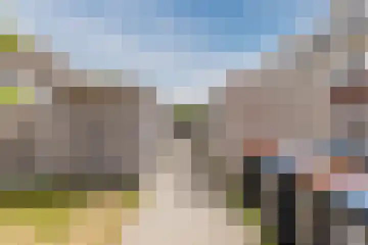 Anemoonlaan 29 De Kwakel thumbnail 25
