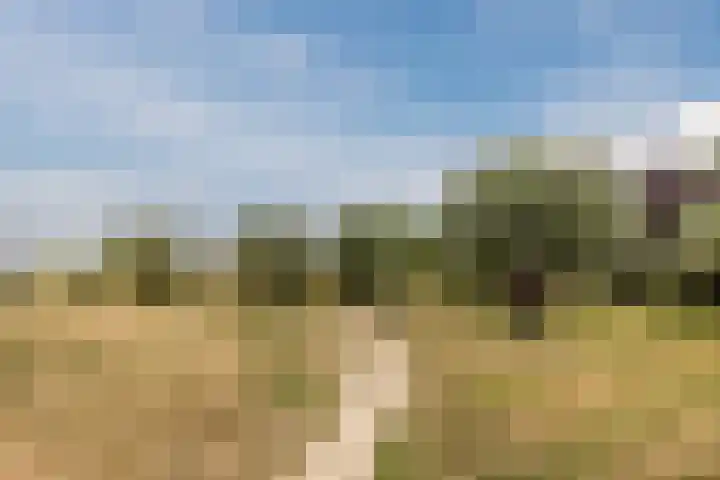 Anemoonlaan 29 De Kwakel thumbnail 30