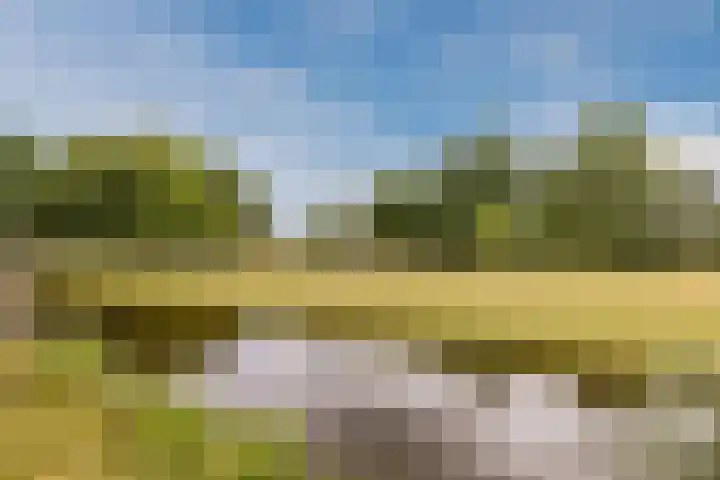 Anemoonlaan 29 De Kwakel thumbnail 31