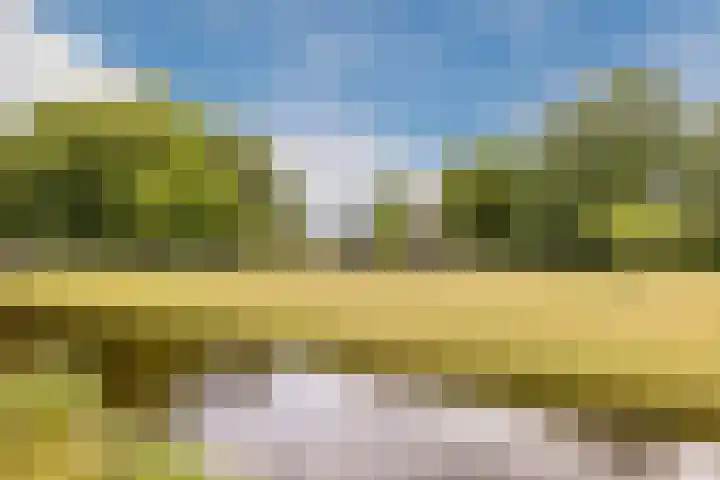 Anemoonlaan 29 De Kwakel thumbnail 32