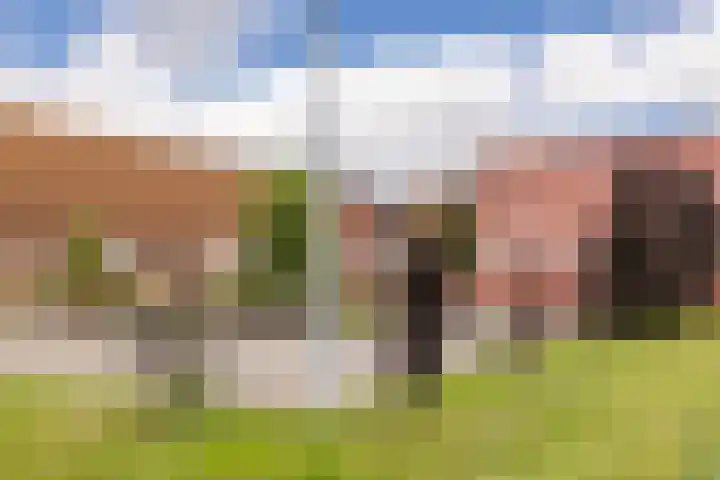 Anemoonlaan 29 De Kwakel thumbnail 34