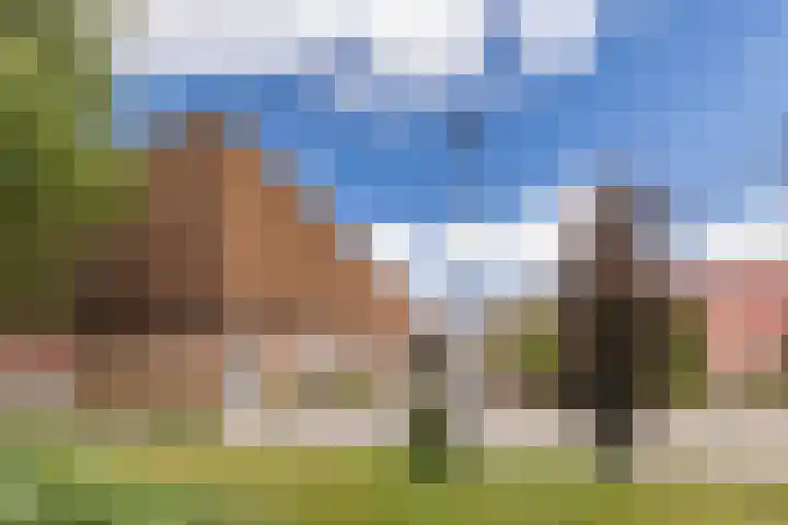 Anemoonlaan 29 De Kwakel thumbnail 35