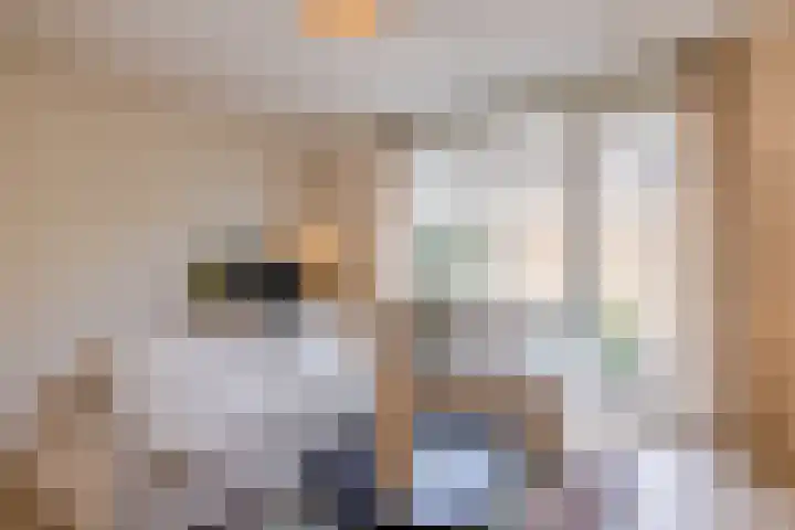 Anemoonlaan 29 De Kwakel thumbnail 5