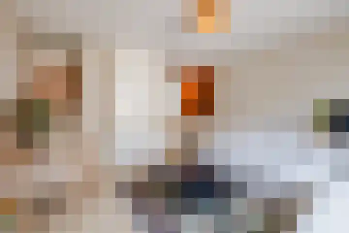 Anemoonlaan 29 De Kwakel thumbnail 6