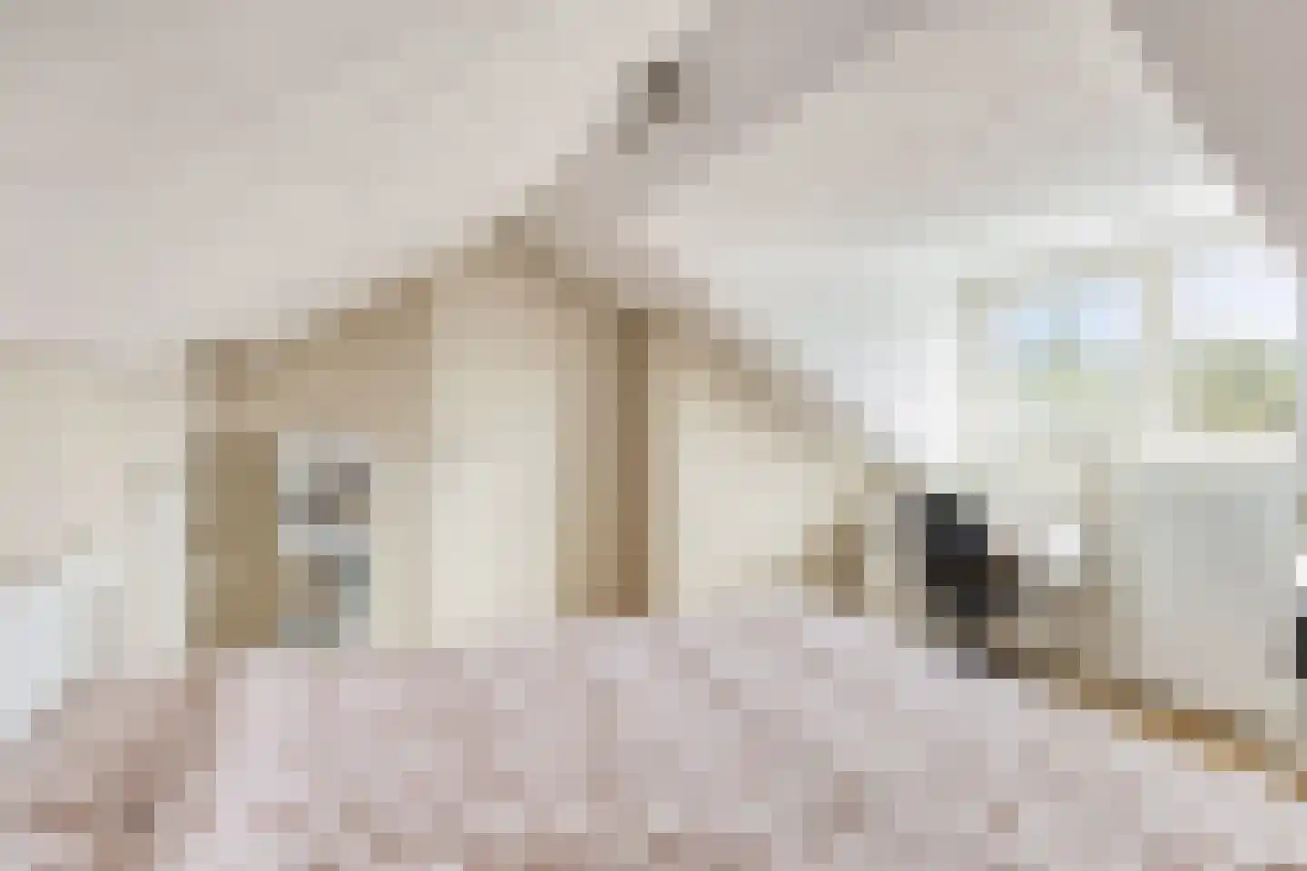 Anemoonlaan 3 Valkenswaard thumbnail 23