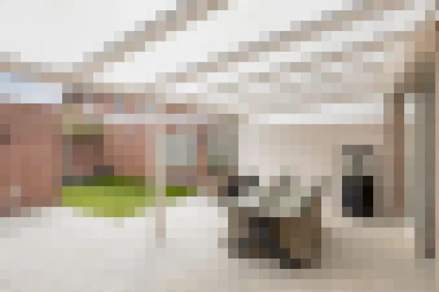 Anemoonlaan 3 Valkenswaard thumbnail 25