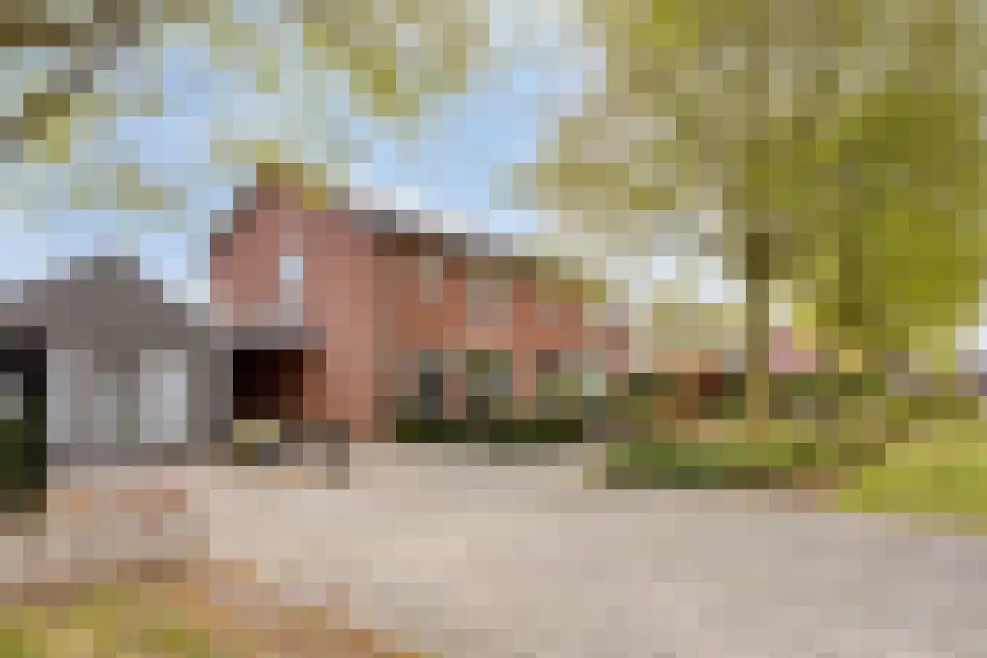 Anemoonlaan 3 Valkenswaard thumbnail 28