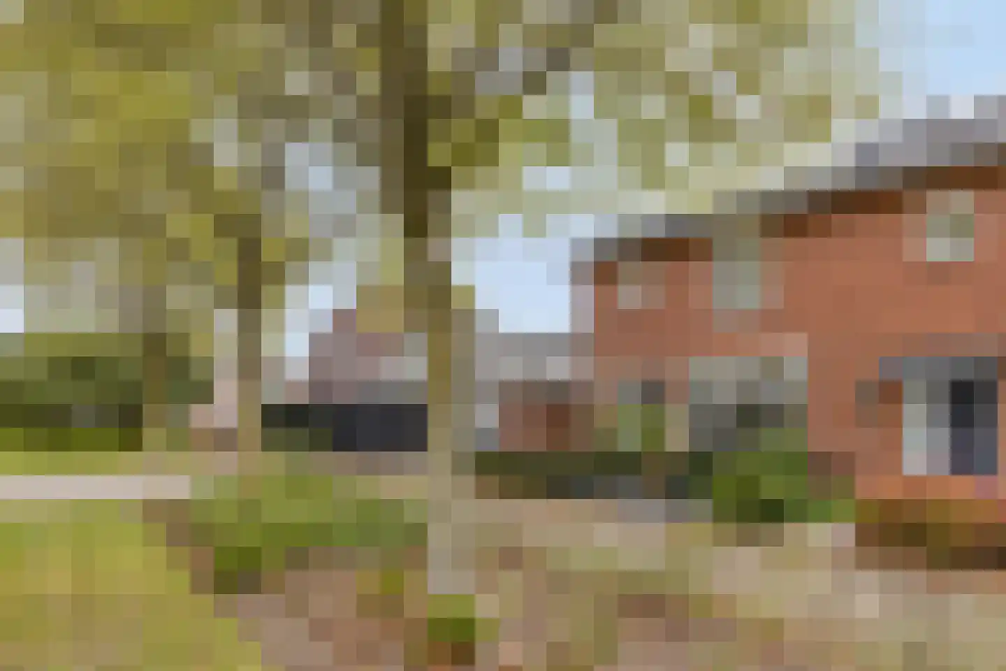 Anemoonlaan 3 Valkenswaard thumbnail 29