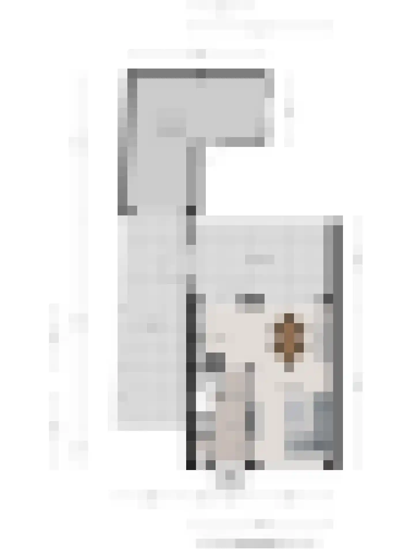 Anemoonlaan 3 Valkenswaard thumbnail 30