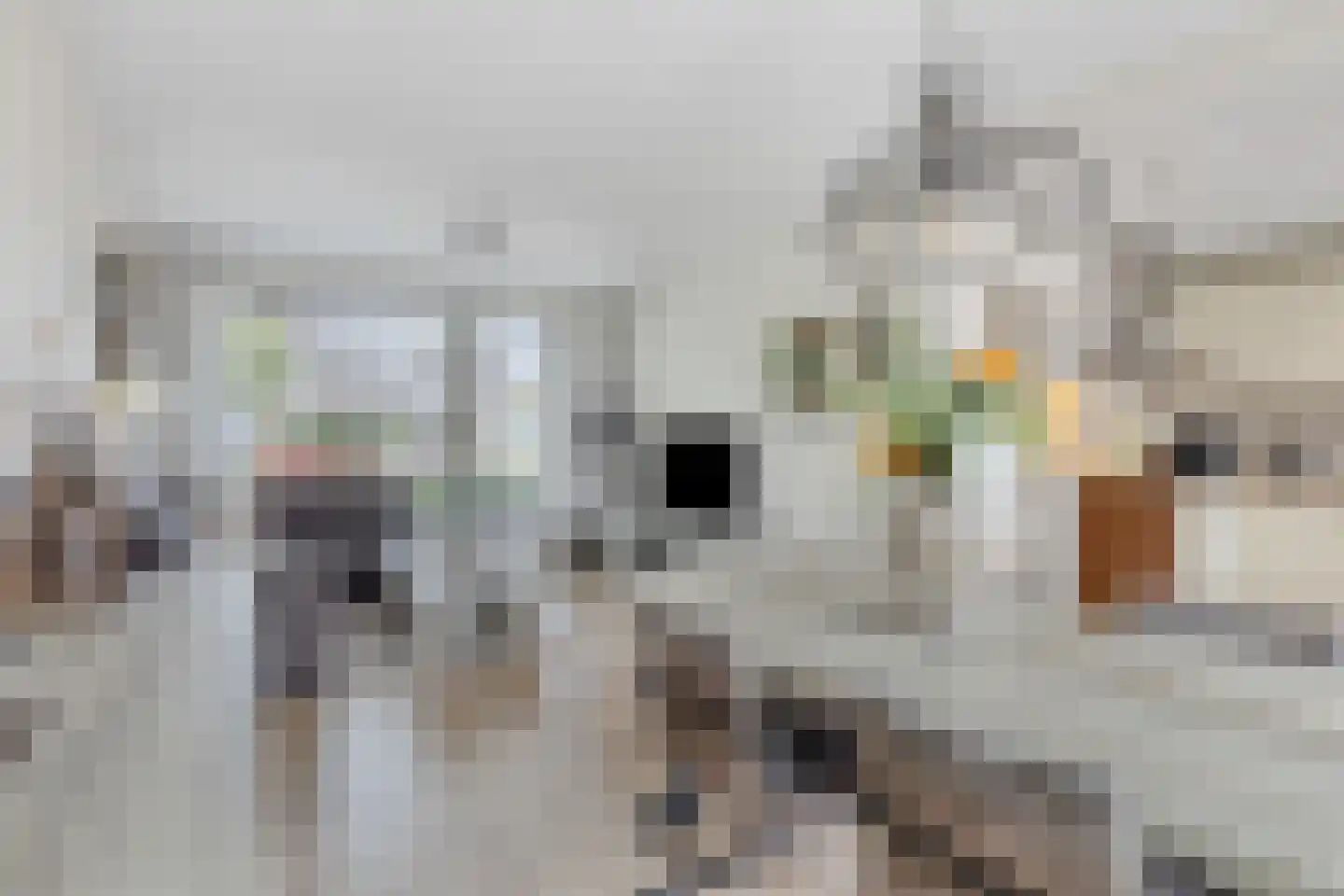 Anemoonlaan 3 Valkenswaard thumbnail 5