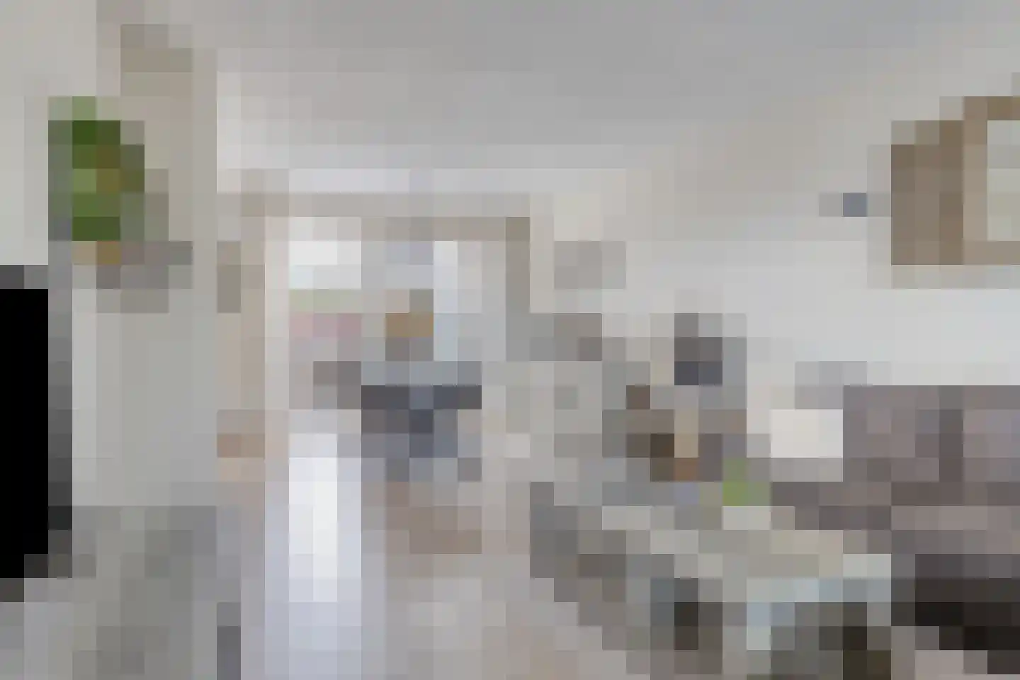 Anemoonlaan 3 Valkenswaard thumbnail 6