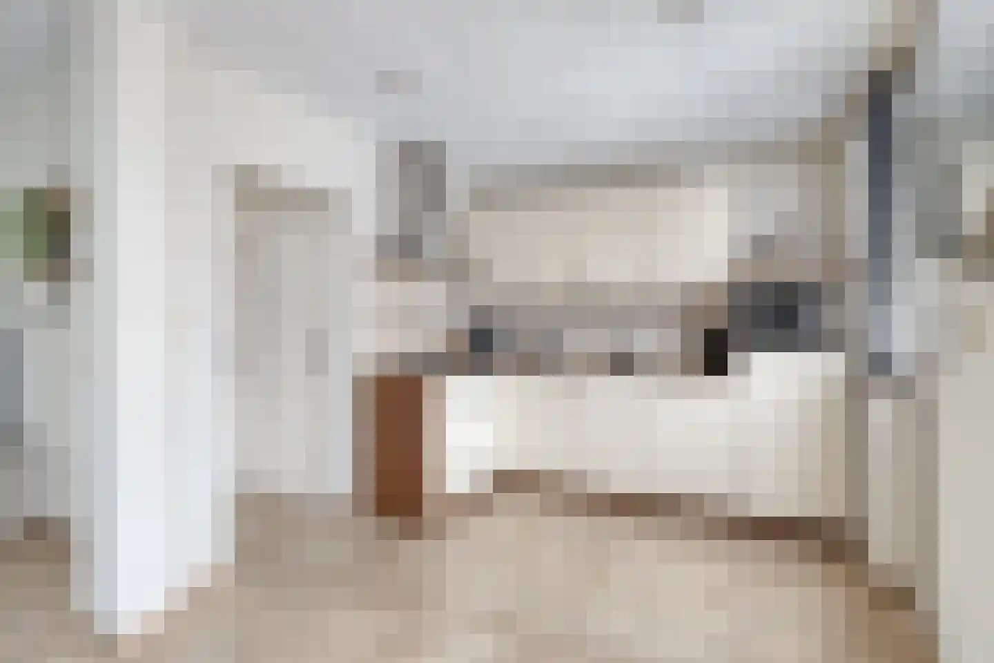 Anemoonlaan 3 Valkenswaard thumbnail 8