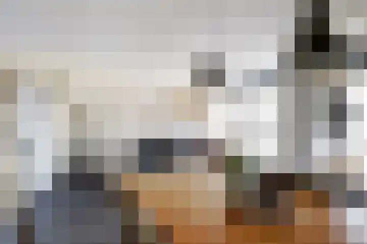Anemoonlaan 34 b Raamsdonksveer thumbnail 10